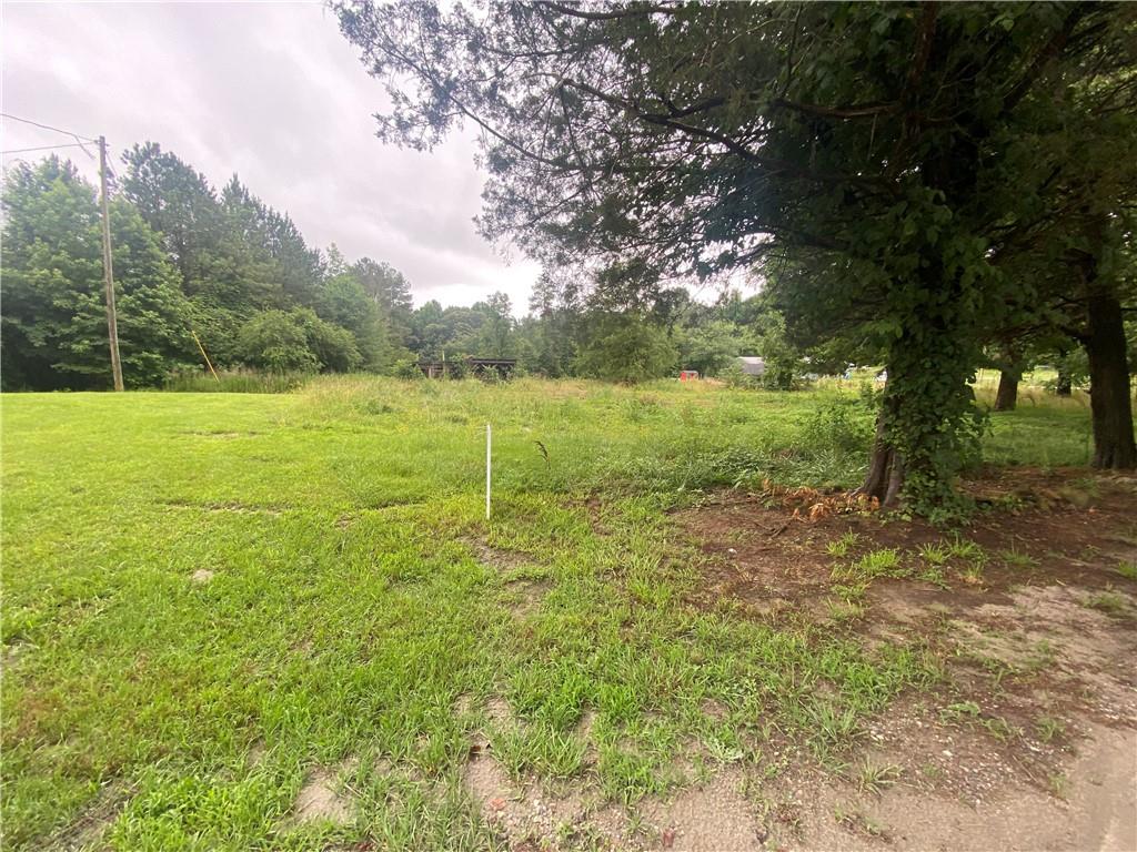 a view of a field with a tree