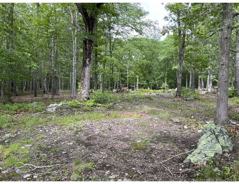 9 Crocker Hill Road Ledyard, CT 06339 - Photo 1 of 1 a view of outdoor space with trees