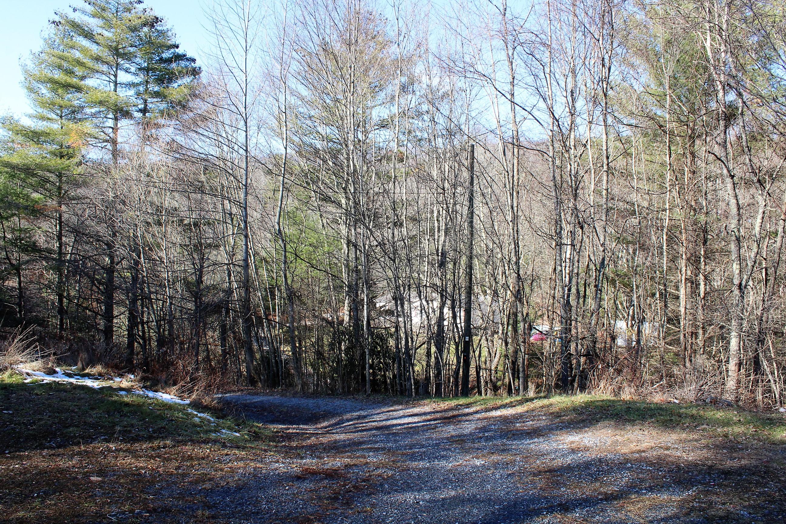40238 Butterfly Road Damascus, VA 24236 - Photo 24 of 31 IMG_6315