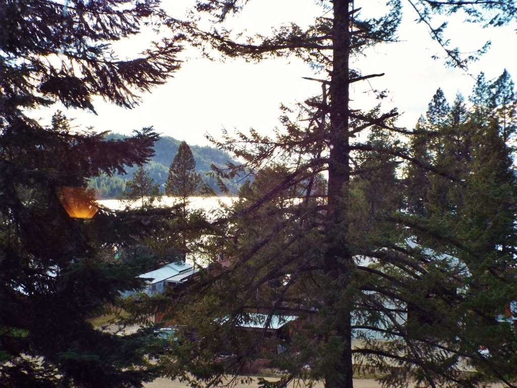 4606 Terrace Road Loon Lake, WA 99148 - Photo 9 of 20 Gallery Image 9