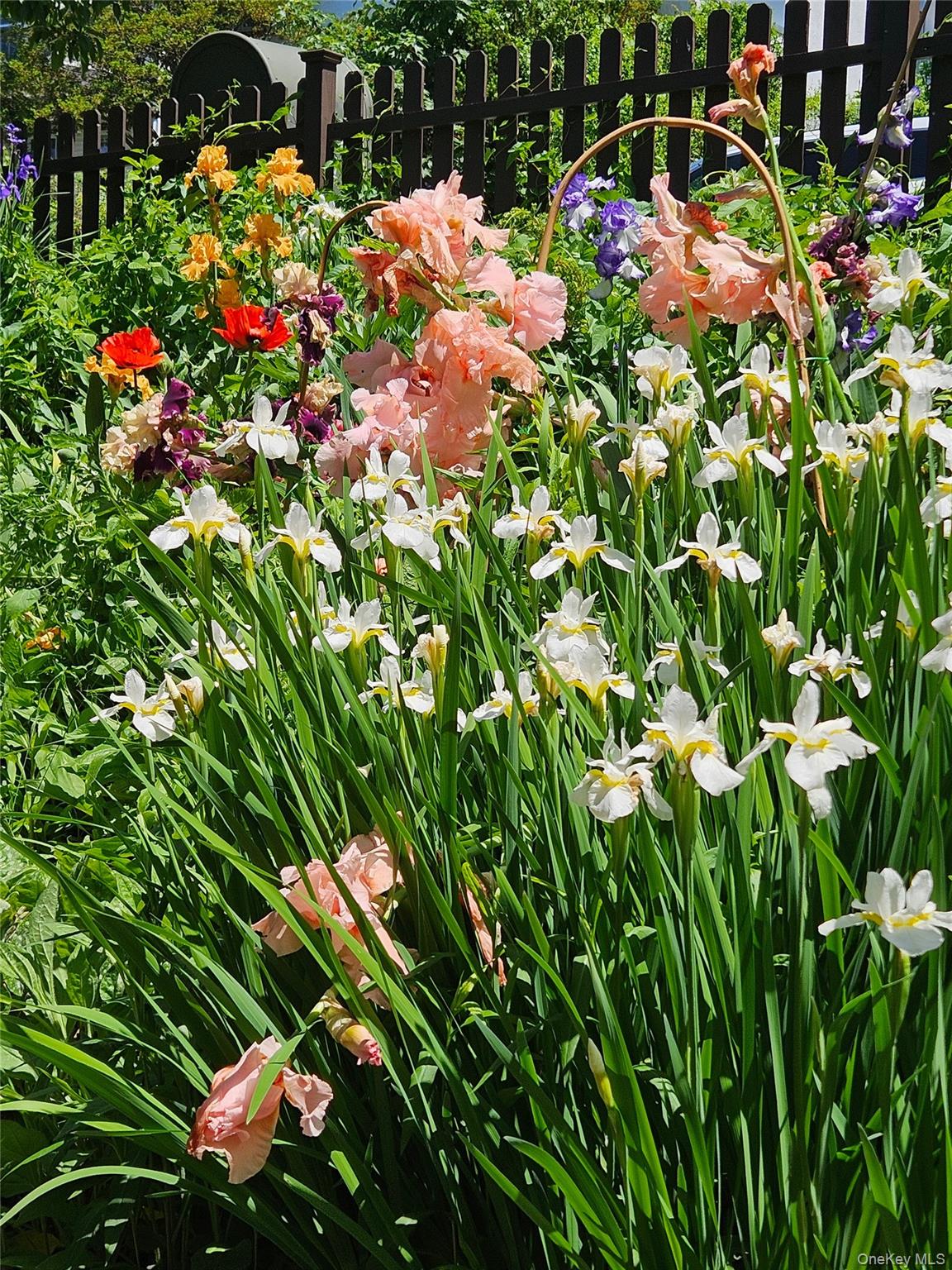 41 Clinton Avenue Ossining, NY 10562 - Photo 43 of 44 a picture of flowers