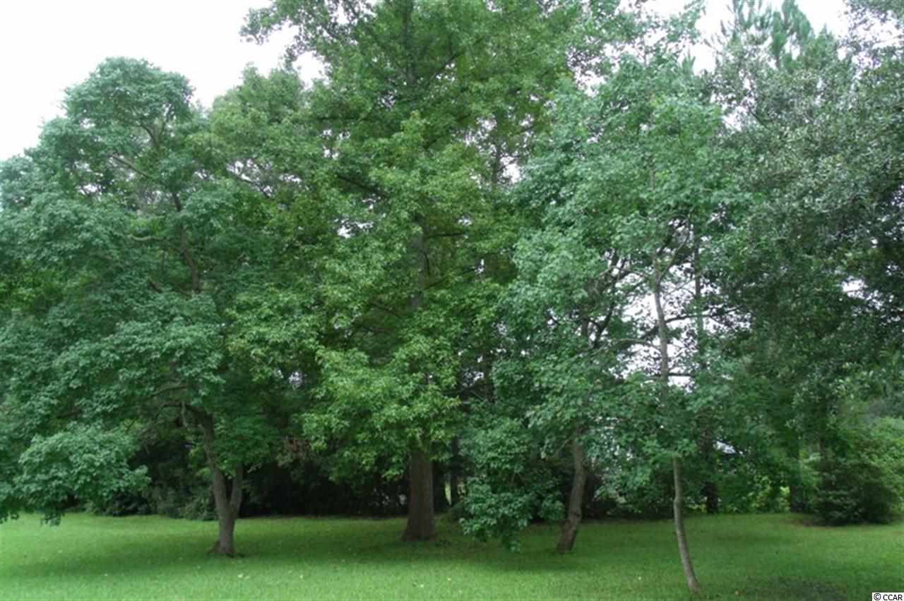 121 Kent Road Georgetown, SC 29440 - Photo 14 of 15