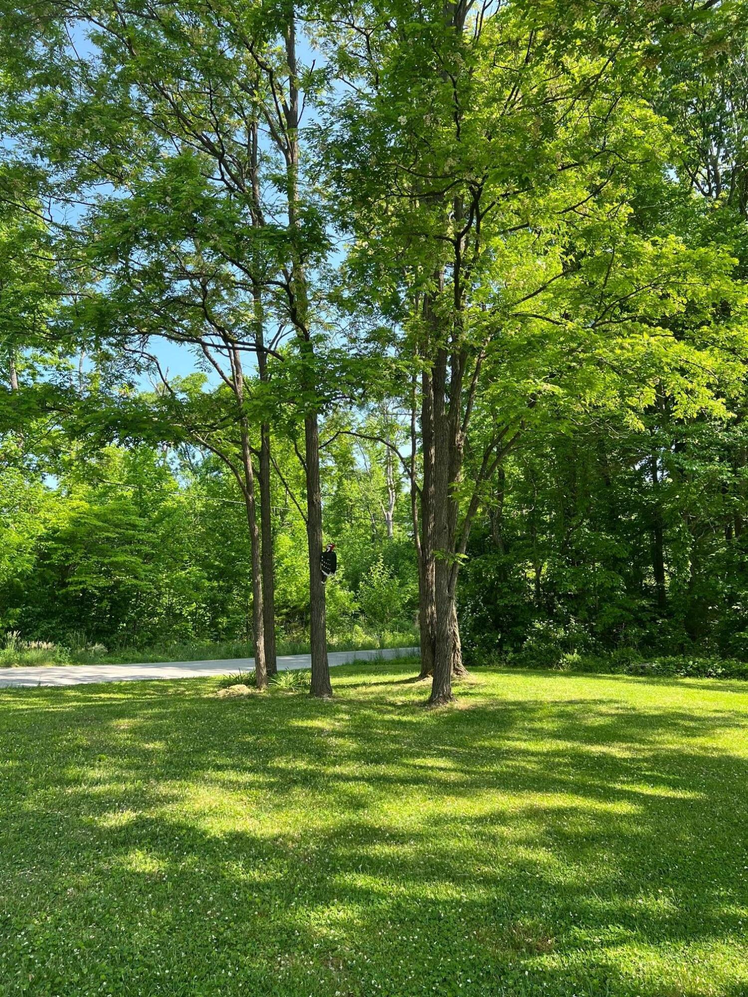 3938 Chestnut Level Road Liberty, KY 42539 - Photo 32 of 43 IMG_7098