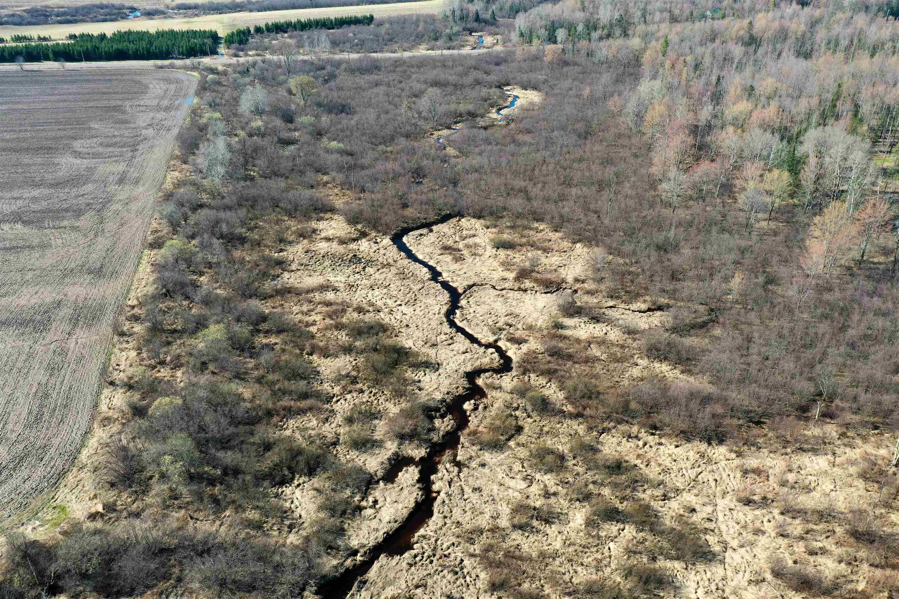 21.35-acres County Rd M Rib Lake, WI 54470 - Photo 1 of 15