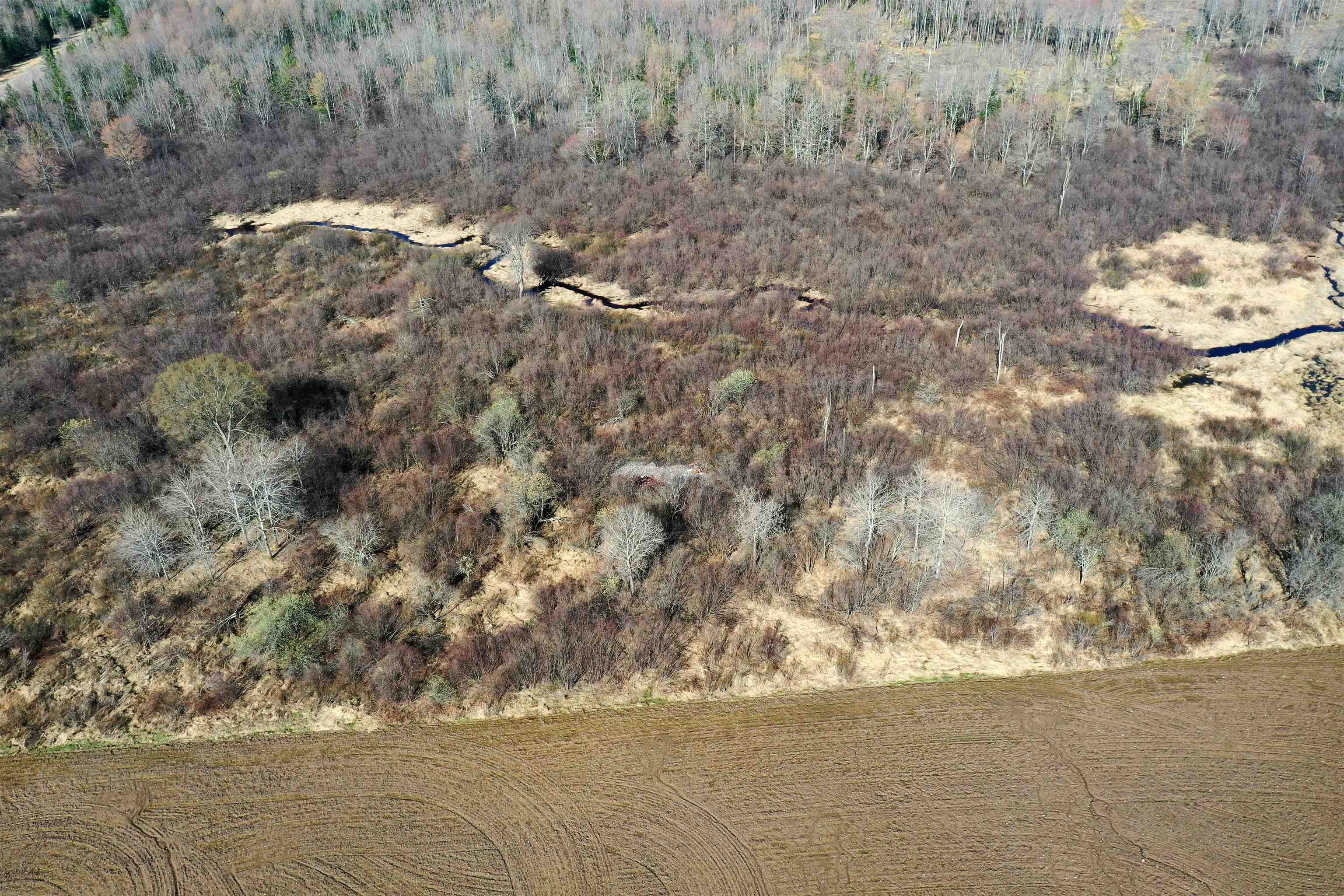 21.35-acres County Rd M Rib Lake, WI 54470 - Photo 12 of 15