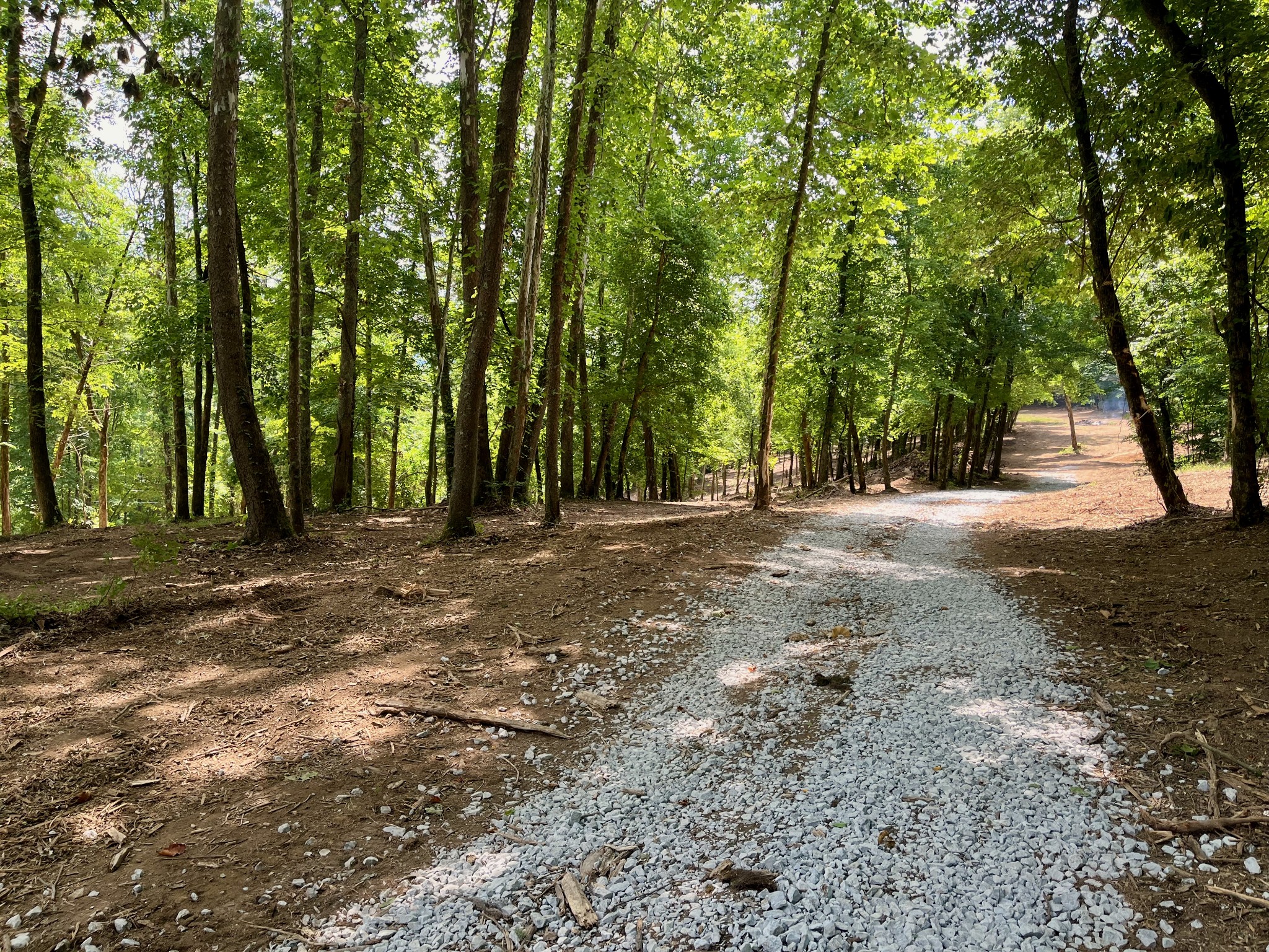135 Dillehay Hollow Road Pleasant Shade, TN 37145 - Photo 4 of 47