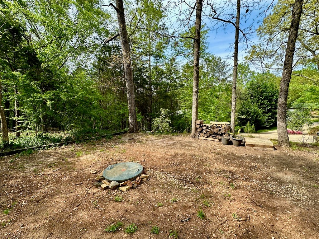 208 Payne Lane Clemson, SC 29631 - Photo 29 of 34