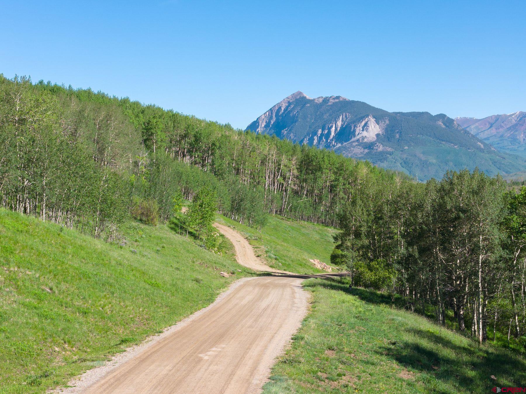 2177 Aspen Mountain Road Almont, CO 81210 - Photo 8 of 20