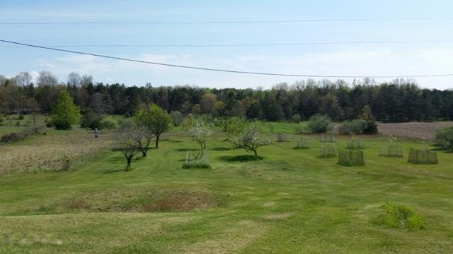 3917 East Madison Road Walkerville, MI 49459 - Photo 22 of 46 20160516_161321
