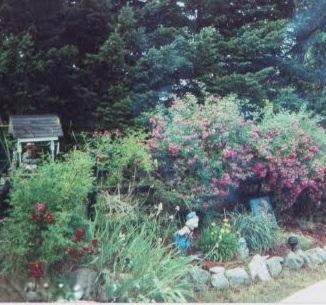 3917 East Madison Road Walkerville, MI 49459 - Photo 29 of 46 16377955-e18c-4d32-a7ae-508823d8f608