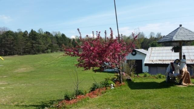 3917 East Madison Road Walkerville, MI 49459 - Photo 4 of 46 20160516_161501