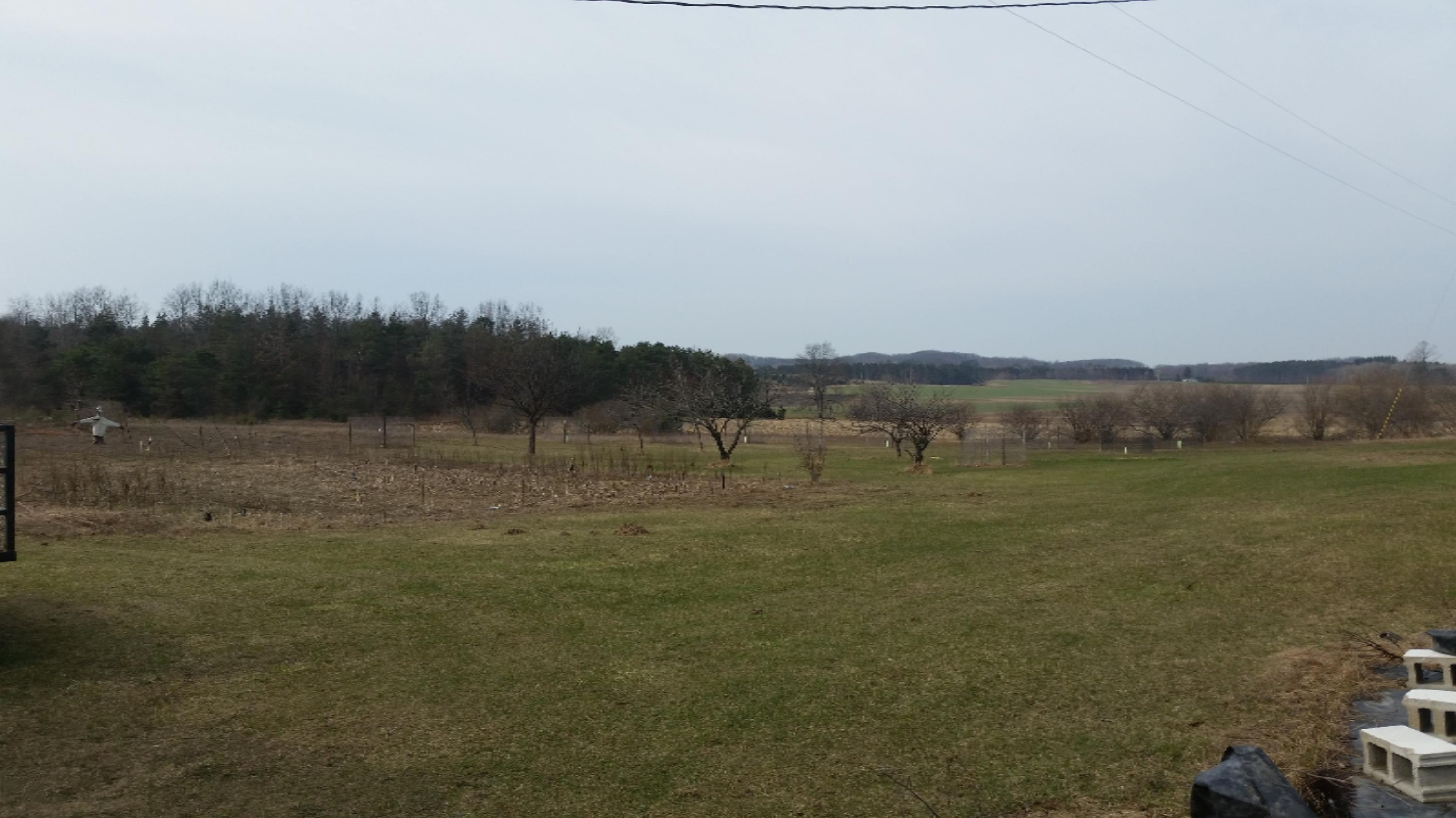 3917 East Madison Road Walkerville, MI 49459 - Photo 44 of 46 2016-03-22 11.07.17