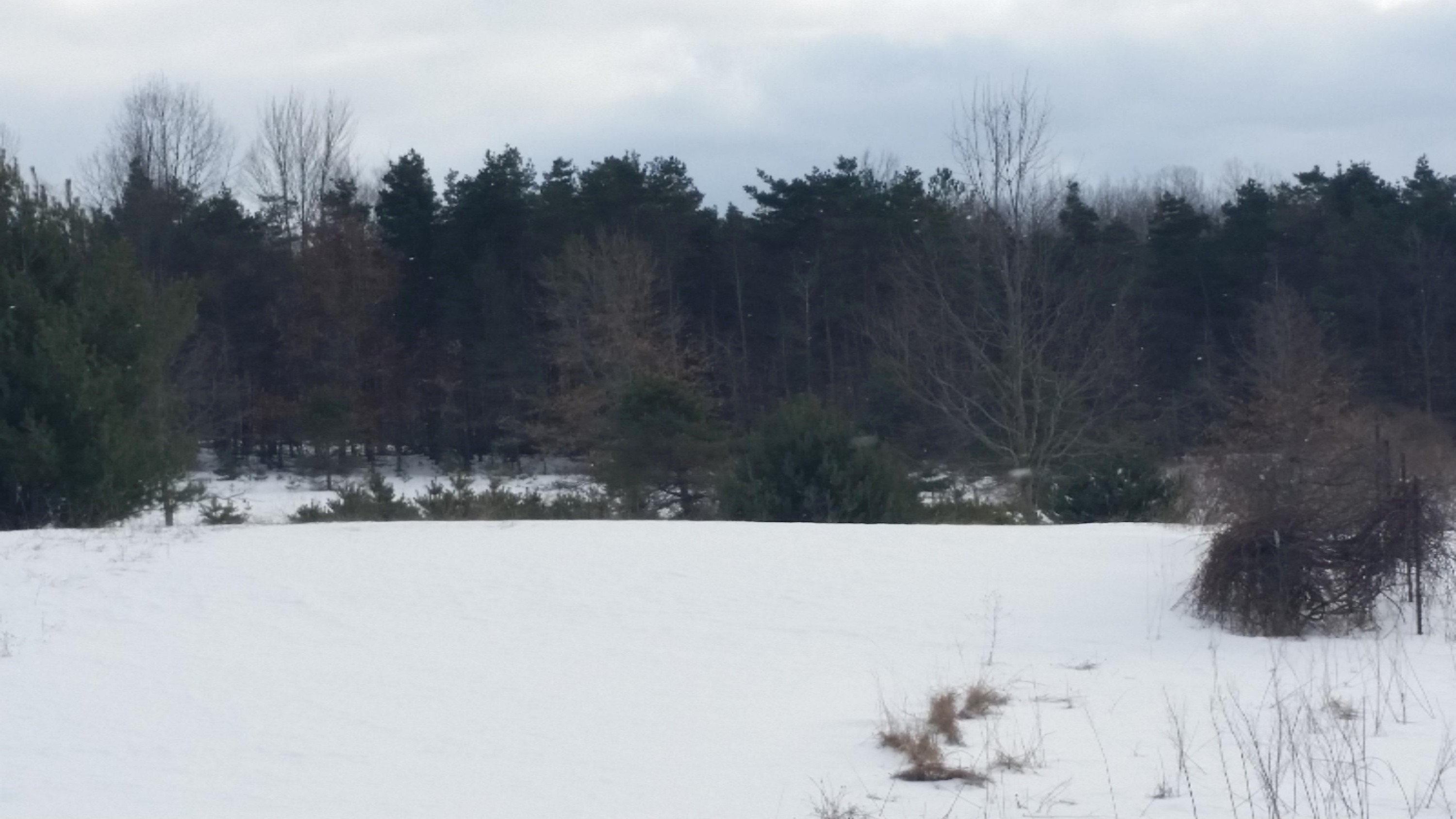 3917 East Madison Road Walkerville, MI 49459 - Photo 45 of 46 2016-02-26 16.31.21