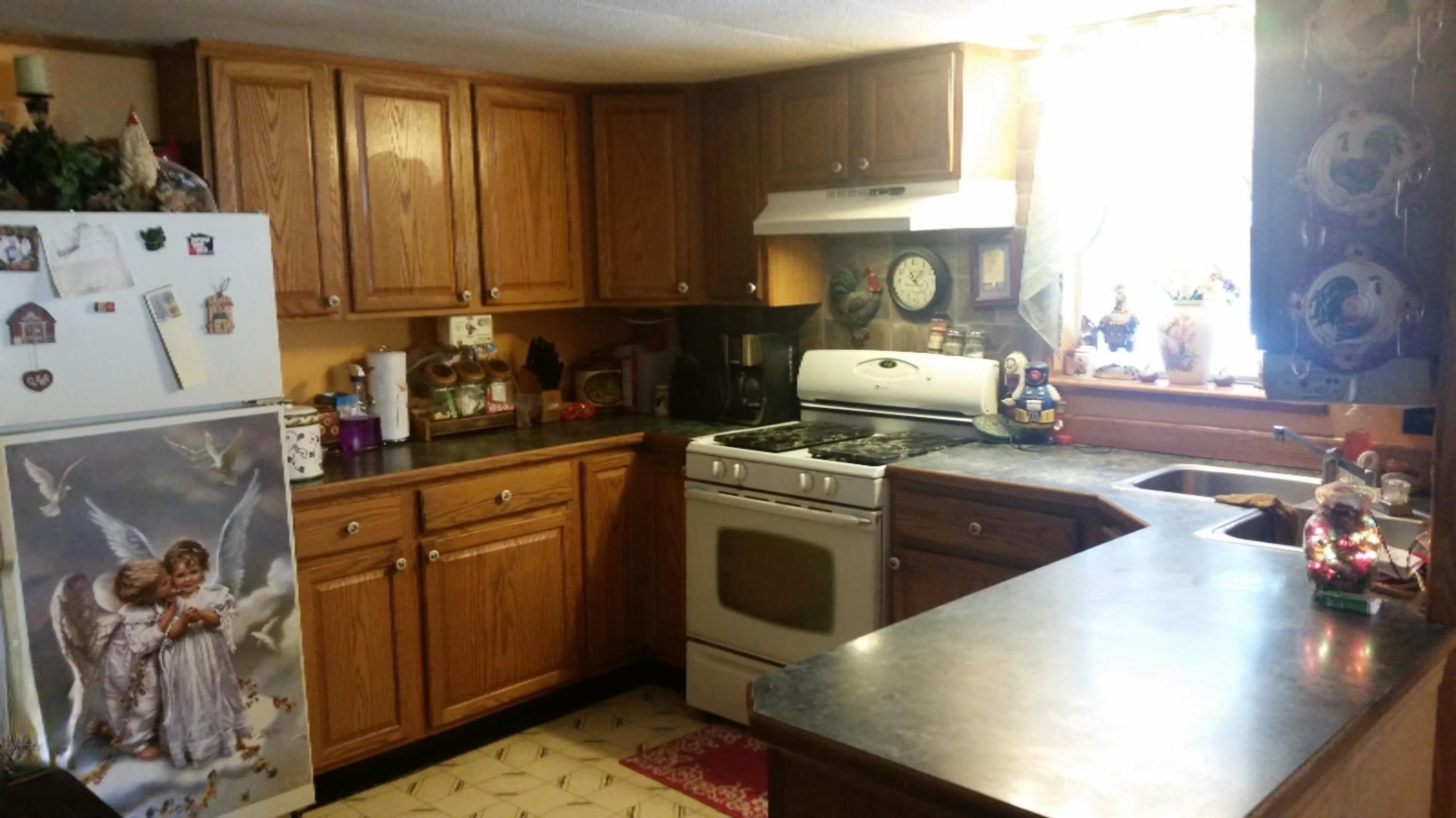 3917 East Madison Road Walkerville, MI 49459 - Photo 9 of 46 2016-02-25 11.06.55