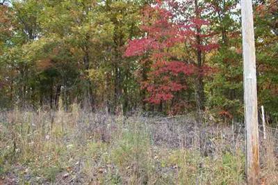 0 Laurel Shell Knob, MO 65747 - Photo 1 of 1 Primary Photo
