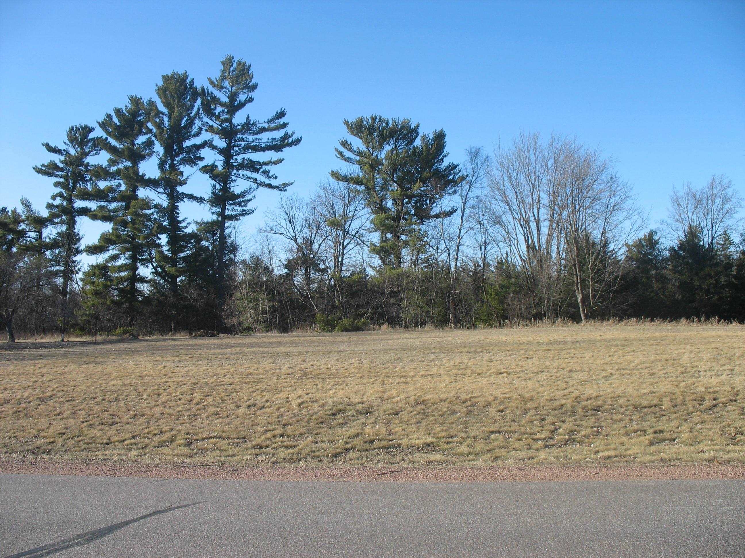 12.09-acres Callon Avenue Rothschild, WI 54474 - Photo 1 of 2
