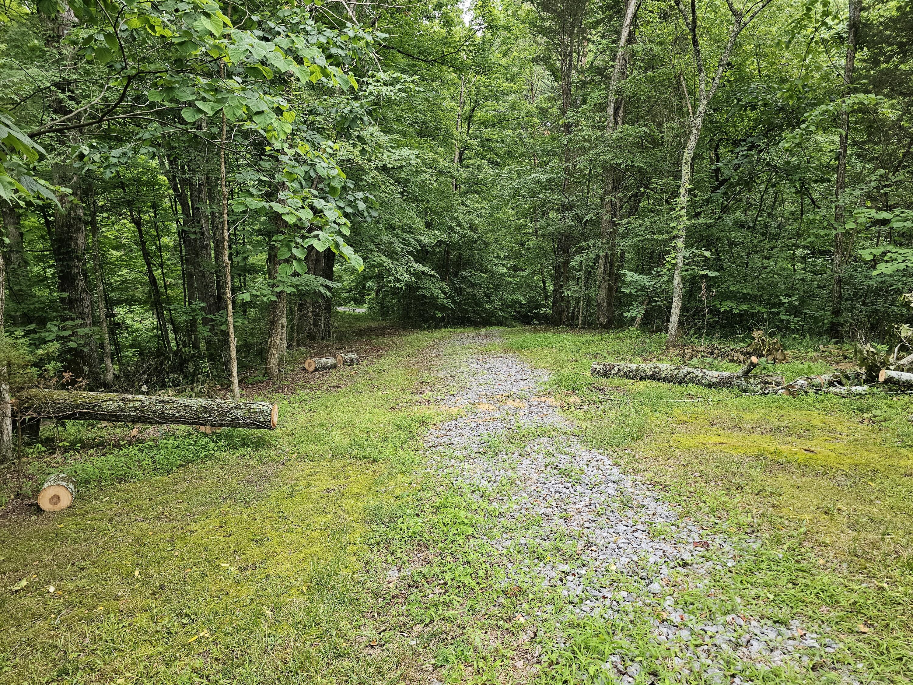 196 Buzzard Roost Road Bulls Gap, TN 37711 - Photo 2 of 5 20230621_190656