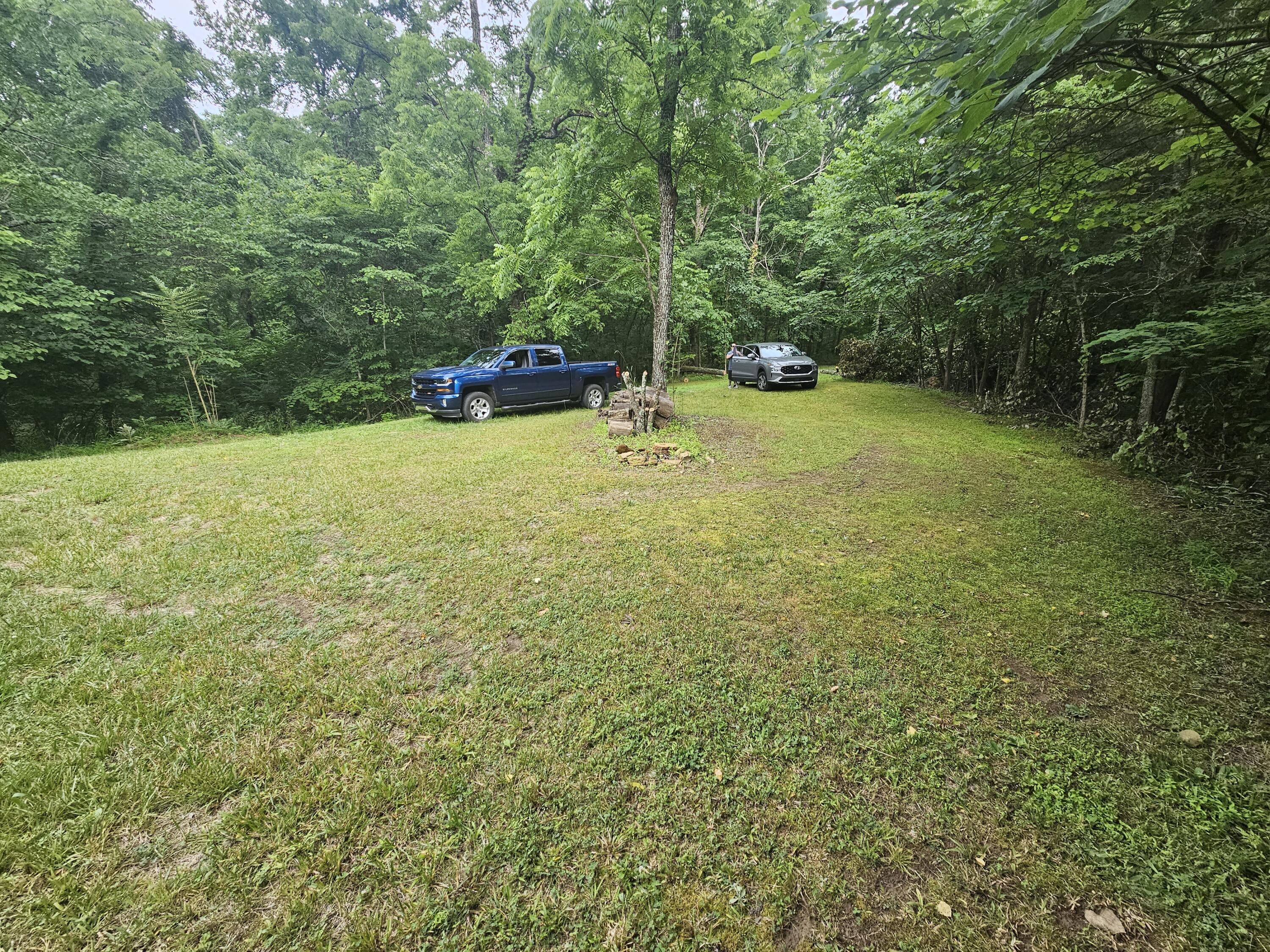 196 Buzzard Roost Road Bulls Gap, TN 37711 - Photo 3 of 5 20230621_190114