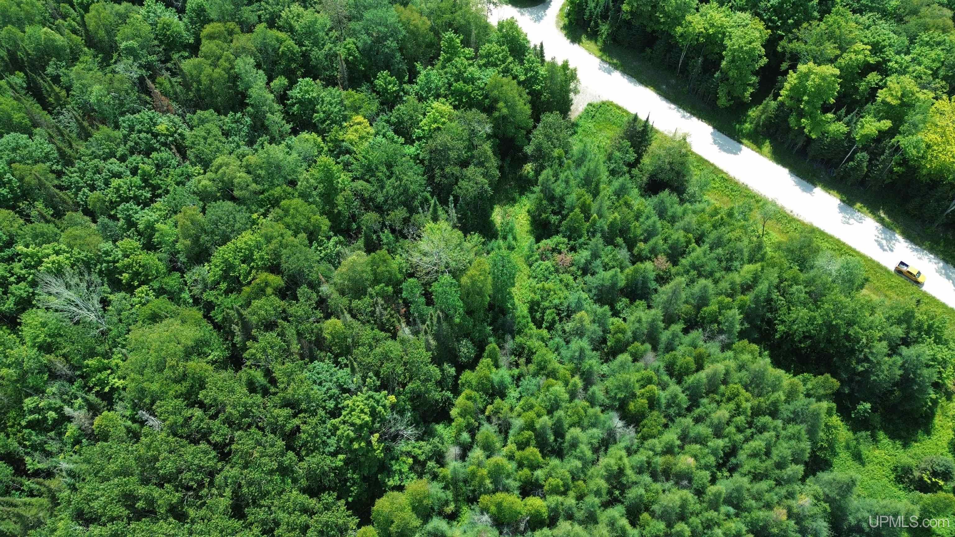 2002 Merwin Creek Road Gulliver, MI 49840 - Photo 10 of 15 Gallery Image 10