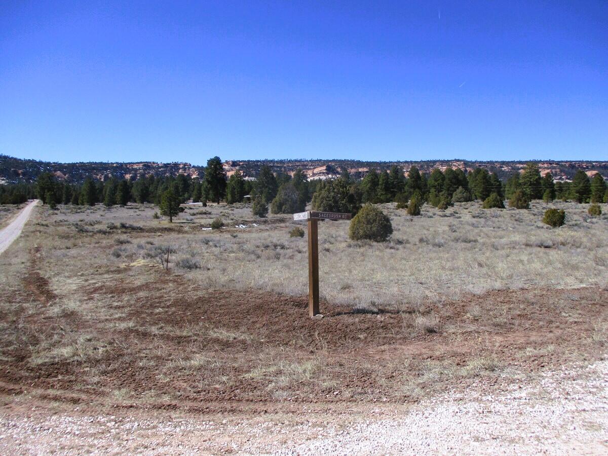 Lot 10 Sagebrush Road Ramah, NM 87321 - Photo 3 of 90 Gallery Image 3