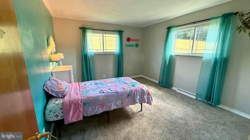 2348 Raystown Road Everett, PA 15537 - Photo 39 of 78 Gallery Image 39