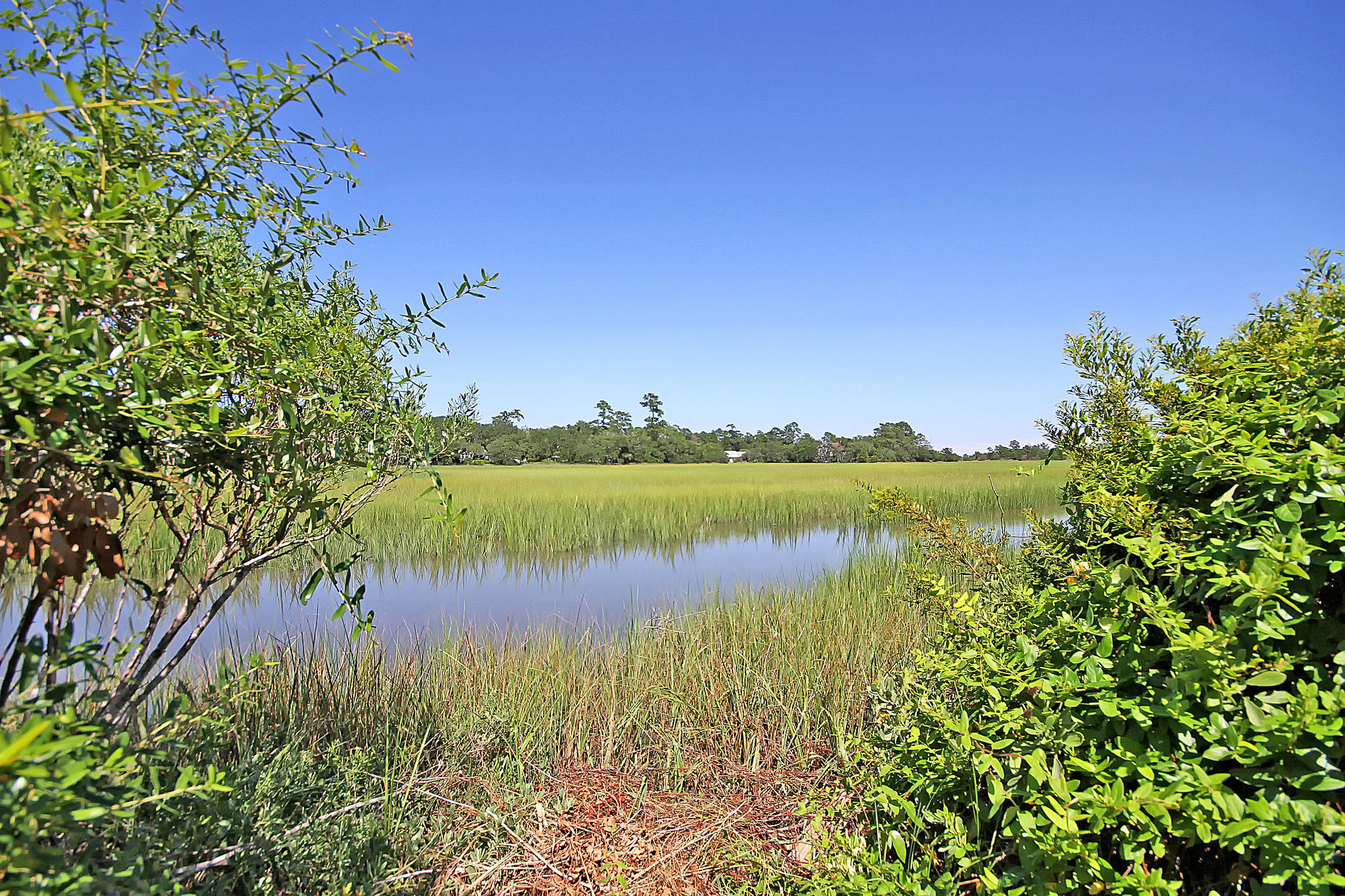 56 Rebellion Road Charleston, SC 29407 - Photo 6 of 51 View