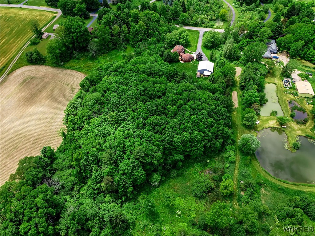 2905 4 Rod Road Marilla, NY 14052 - Photo 49 of 50