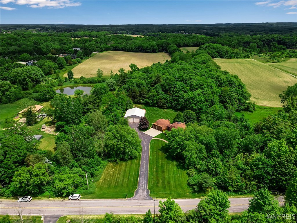 2905 4 Rod Road Marilla, NY 14052 - Photo 6 of 50