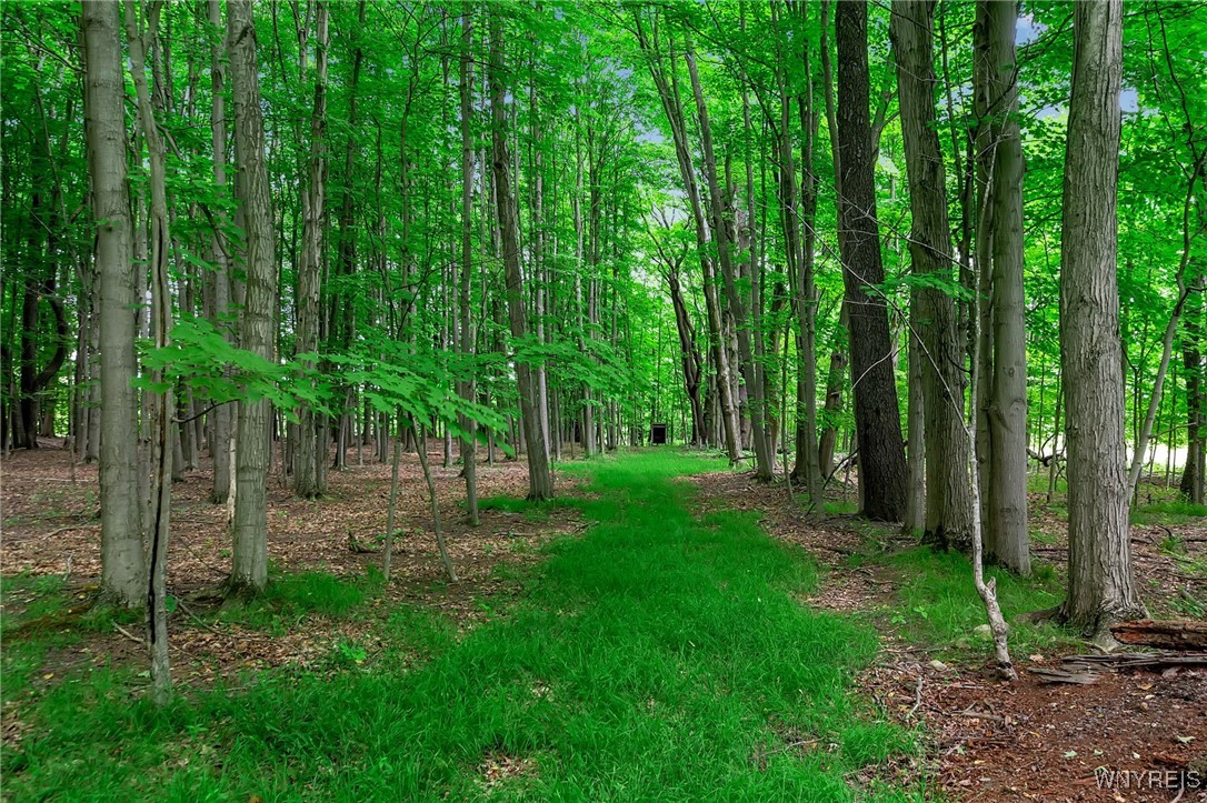 2905 4 Rod Road Marilla, NY 14052 - Photo 9 of 50