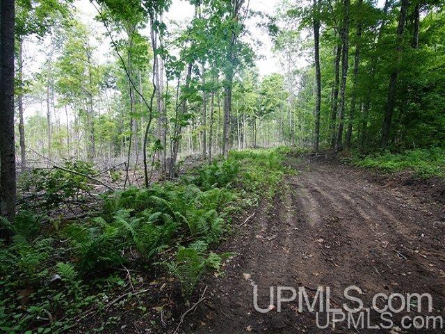 40-acres Co Rd 467 Germfask, MI 49836 - Photo 10 of 22