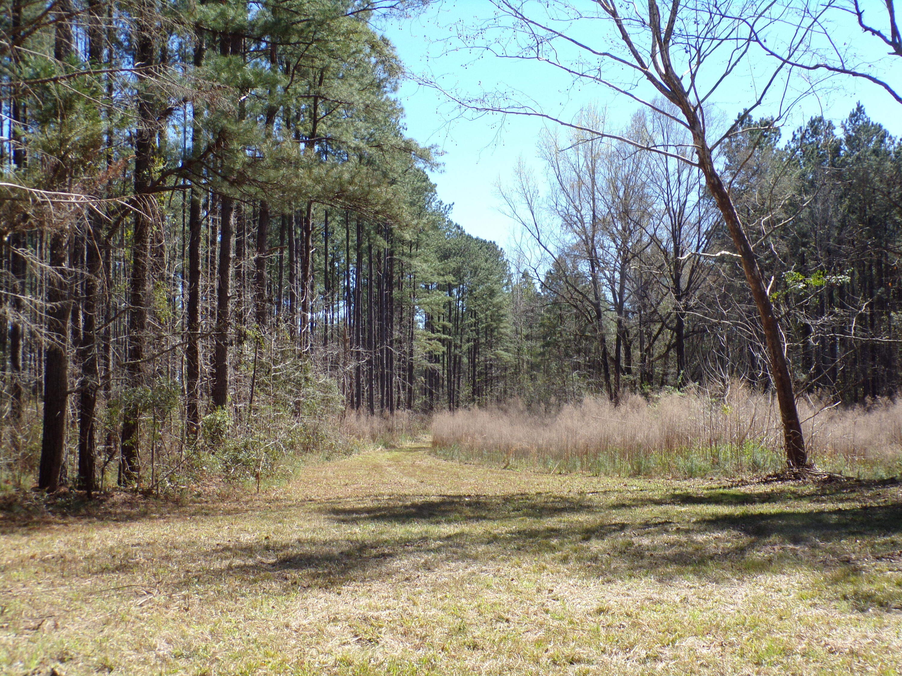 304 Ricochet Lane Ruffin, SC 29475 - Photo 11 of 20 114_0020