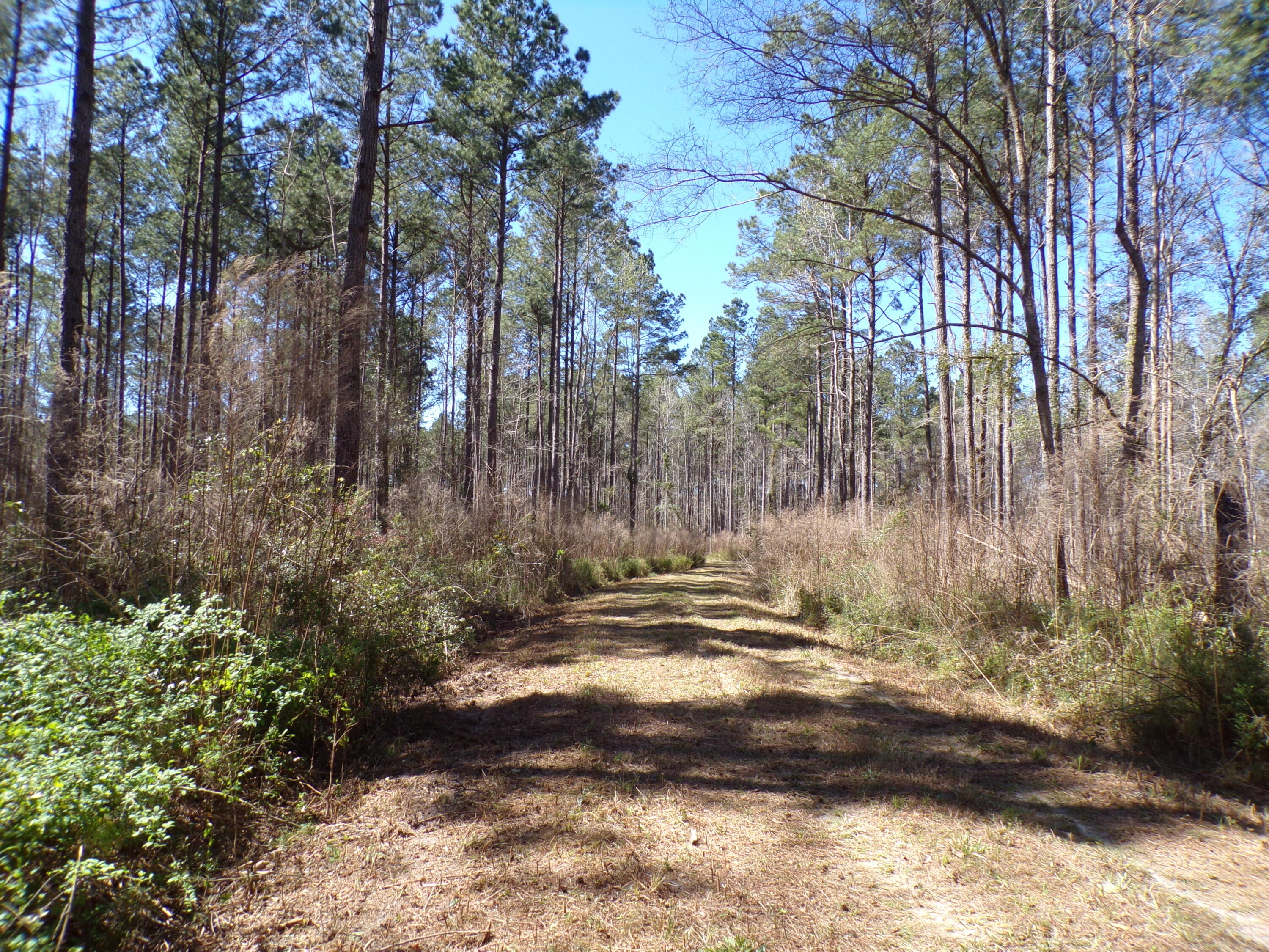 304 Ricochet Lane Ruffin, SC 29475 - Photo 13 of 20 114_0027