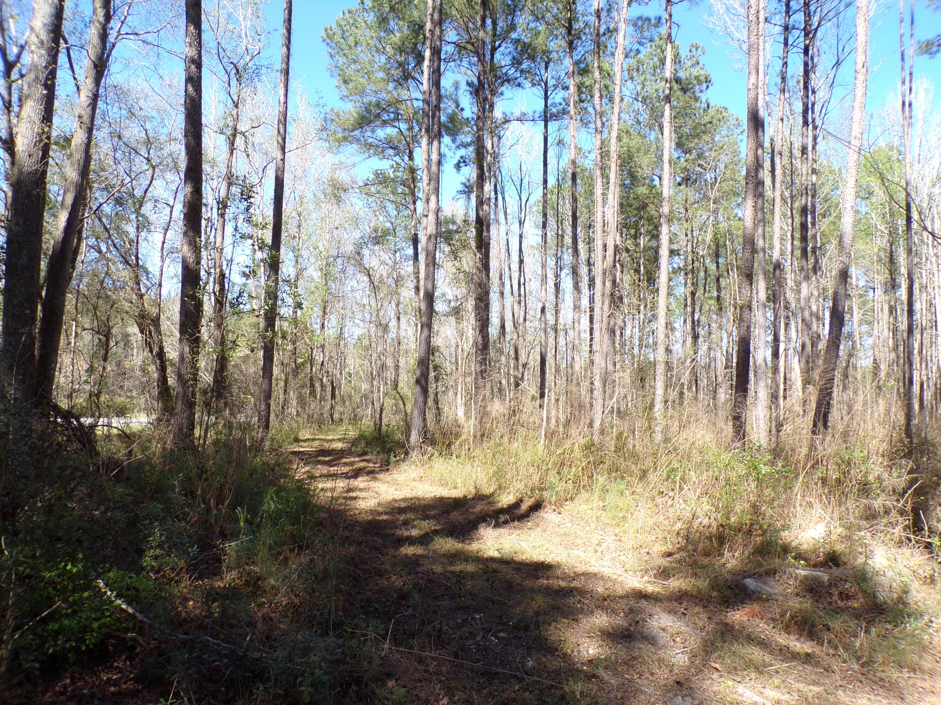304 Ricochet Lane Ruffin, SC 29475 - Photo 17 of 20 114_0038