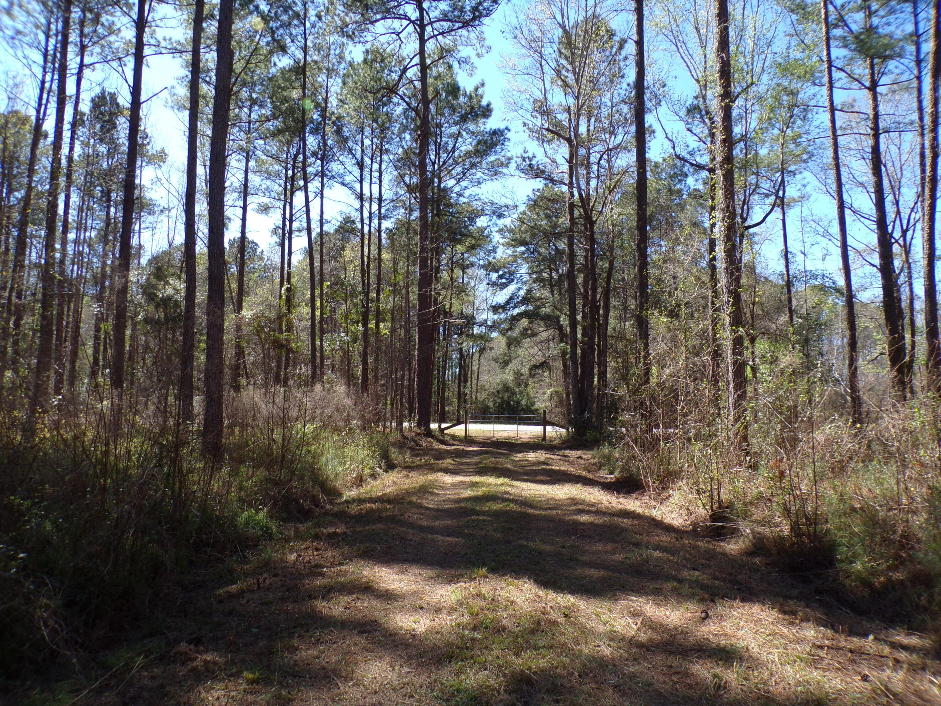 304 Ricochet Lane Ruffin, SC 29475 - Photo 19 of 20 114_0039