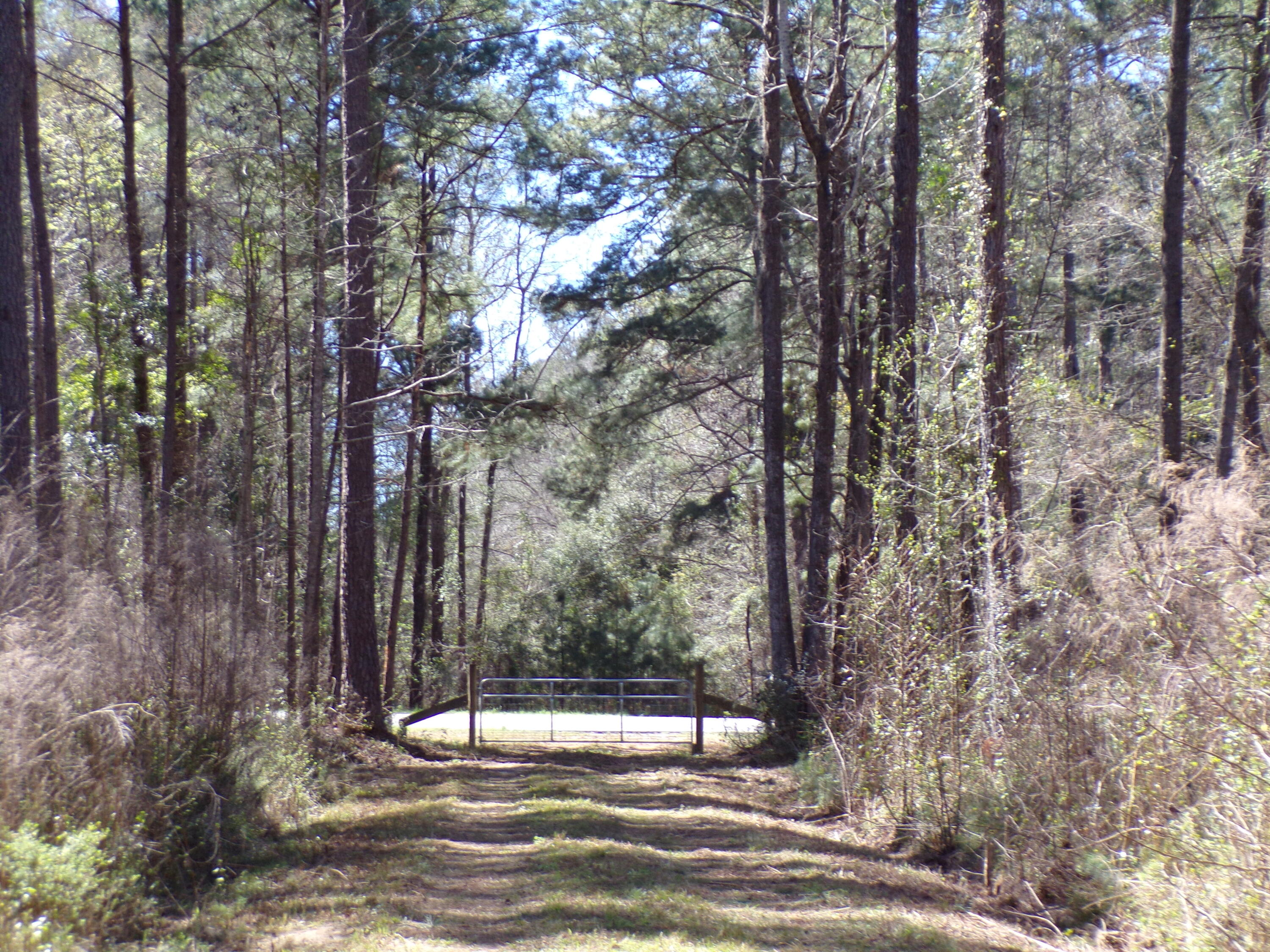 304 Ricochet Lane Ruffin, SC 29475 - Photo 20 of 20 114_0041