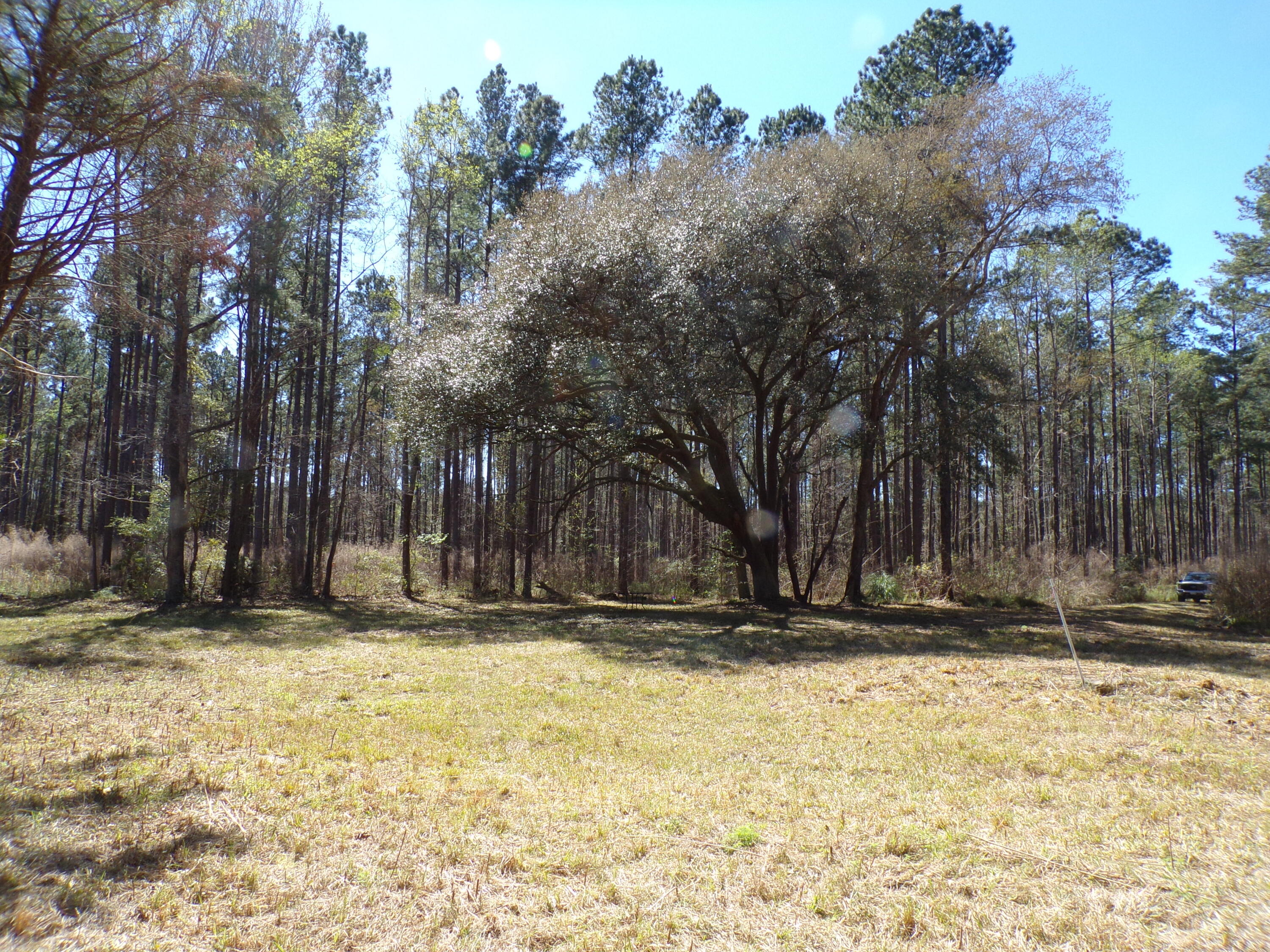 304 Ricochet Lane Ruffin, SC 29475 - Photo 5 of 20 114_0021