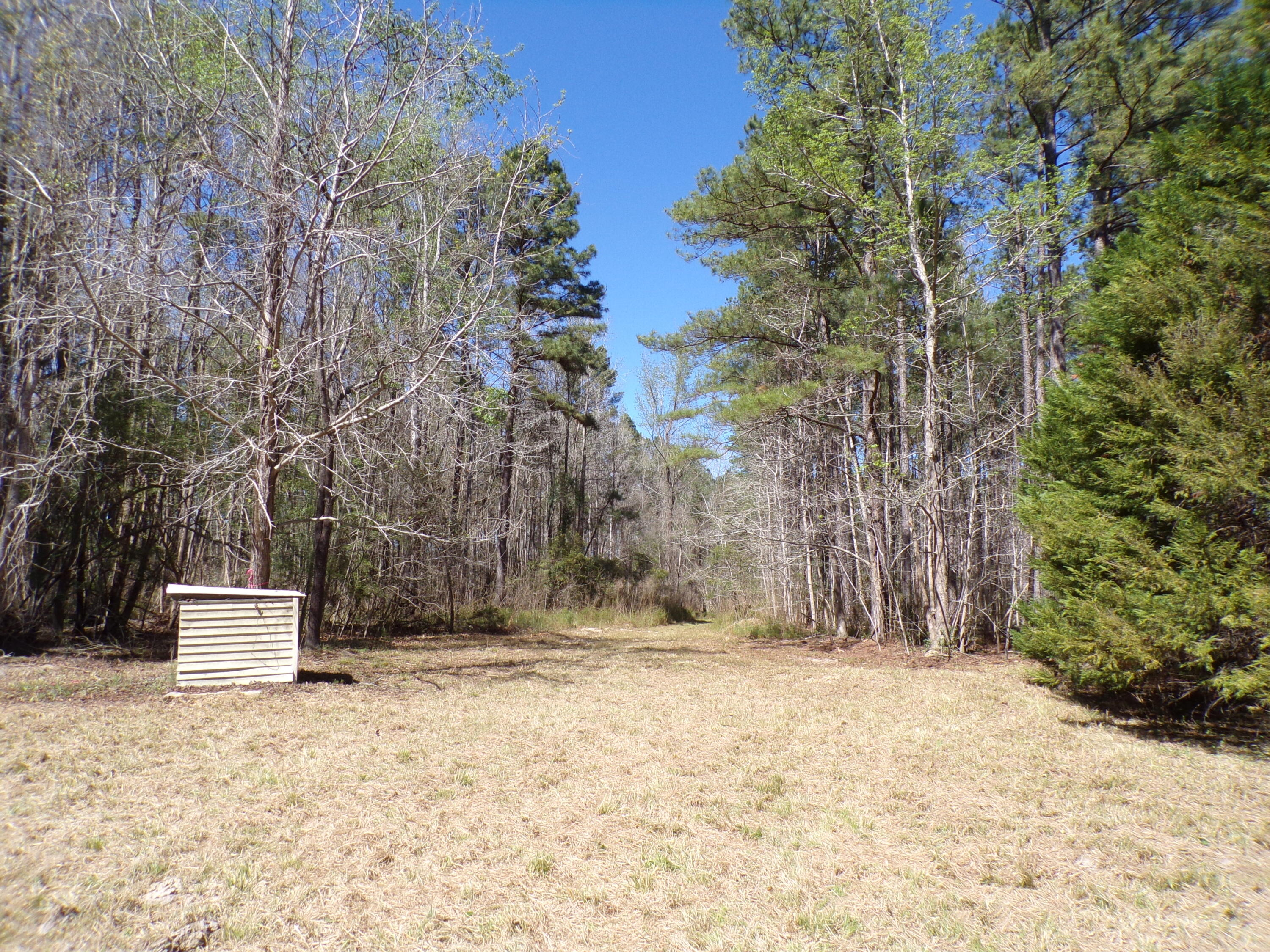 304 Ricochet Lane Ruffin, SC 29475 - Photo 7 of 20 114_0017