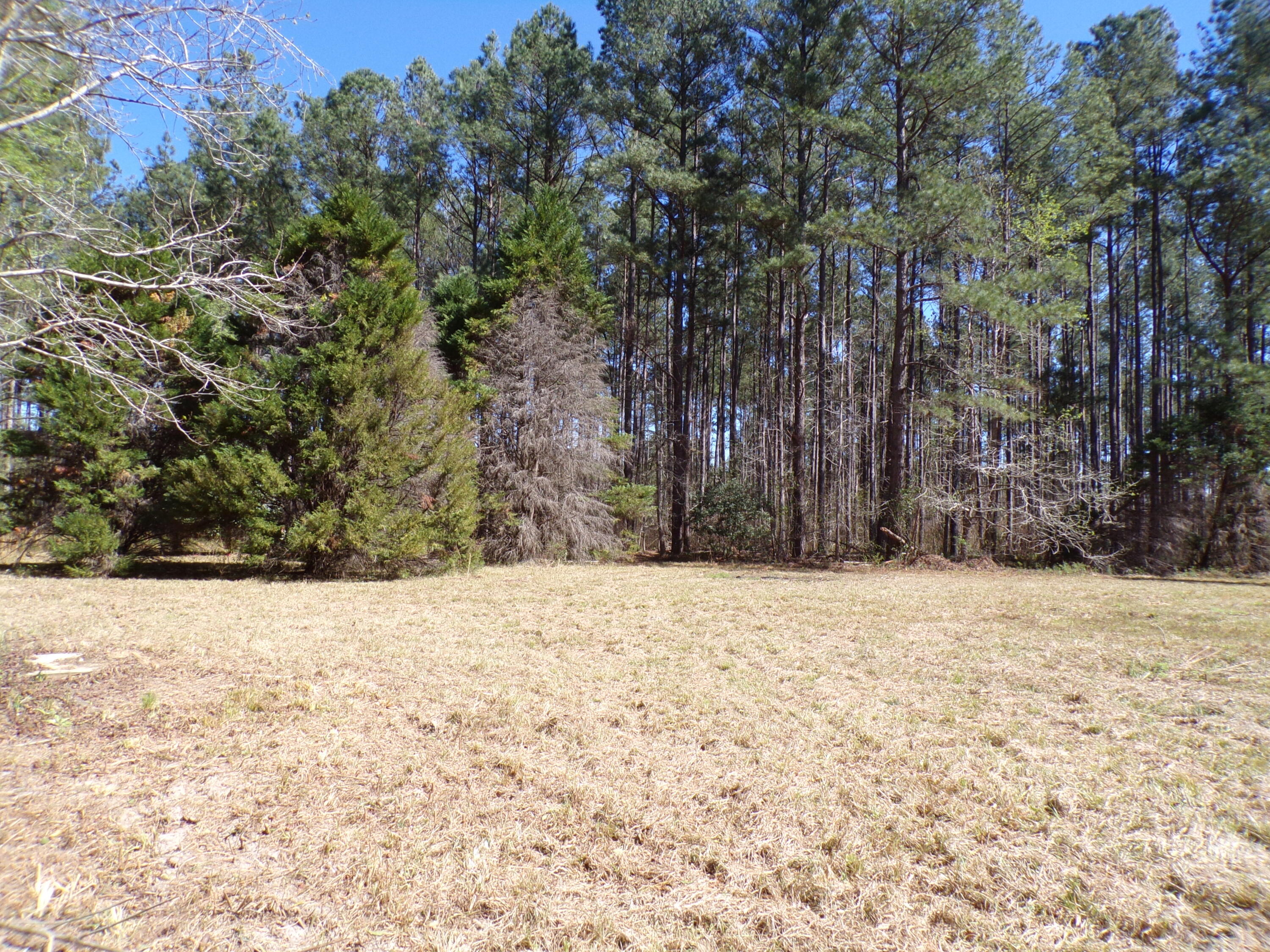 304 Ricochet Lane Ruffin, SC 29475 - Photo 8 of 20 114_0016