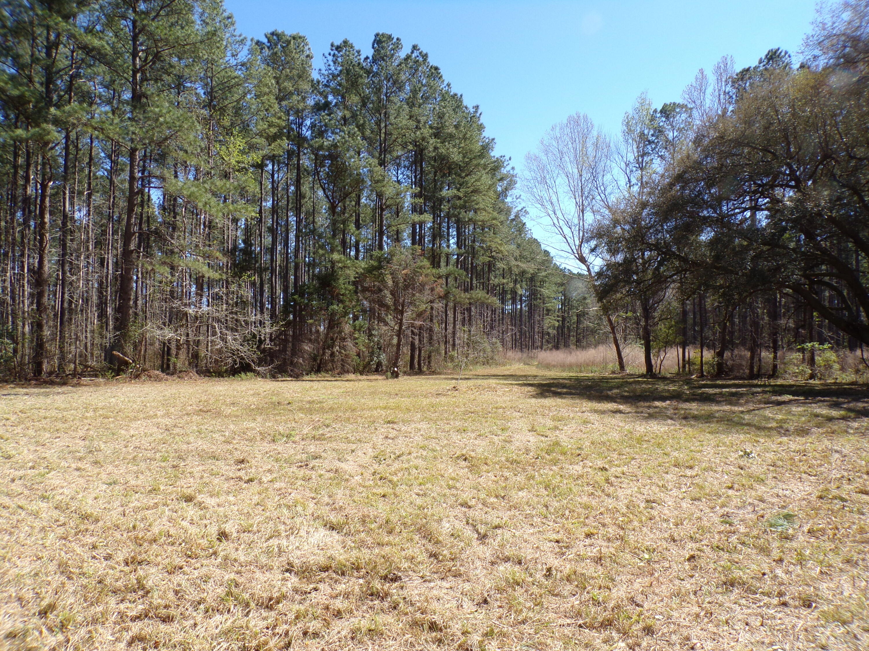 304 Ricochet Lane Ruffin, SC 29475 - Photo 9 of 20 114_0015