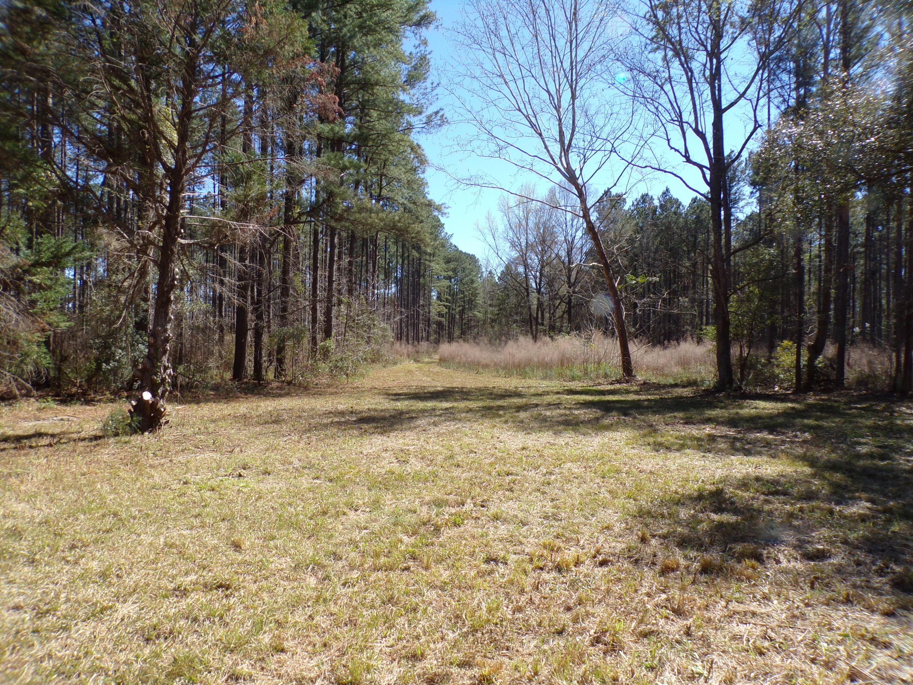 304 Ricochet Lane Ruffin, SC 29475 - Photo 10 of 20 114_0019