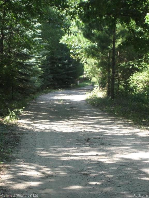 0 Botsford Howell, MI 48855 - Photo 4 of 4