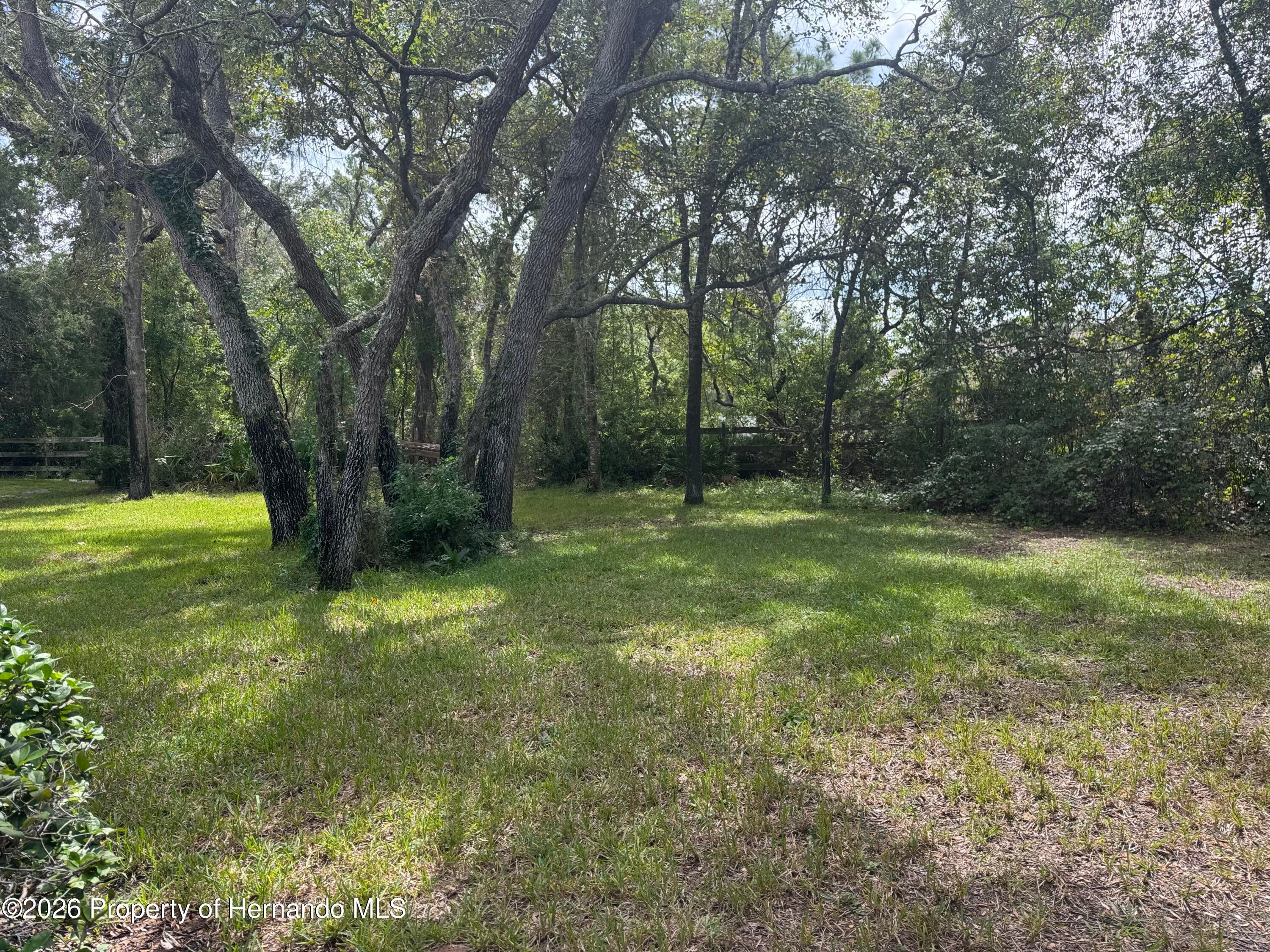 4337 Rachel Boulevard Spring Hill, FL 34607 - Photo 4 of 40 Gallery Image 4