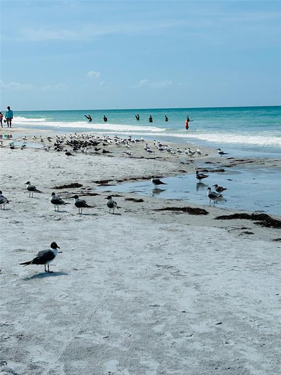 18218 Sunset Boulevard, Unit B St. Petersburg, FL 33708 - Photo 4 of 38 a view of water heater and stove
