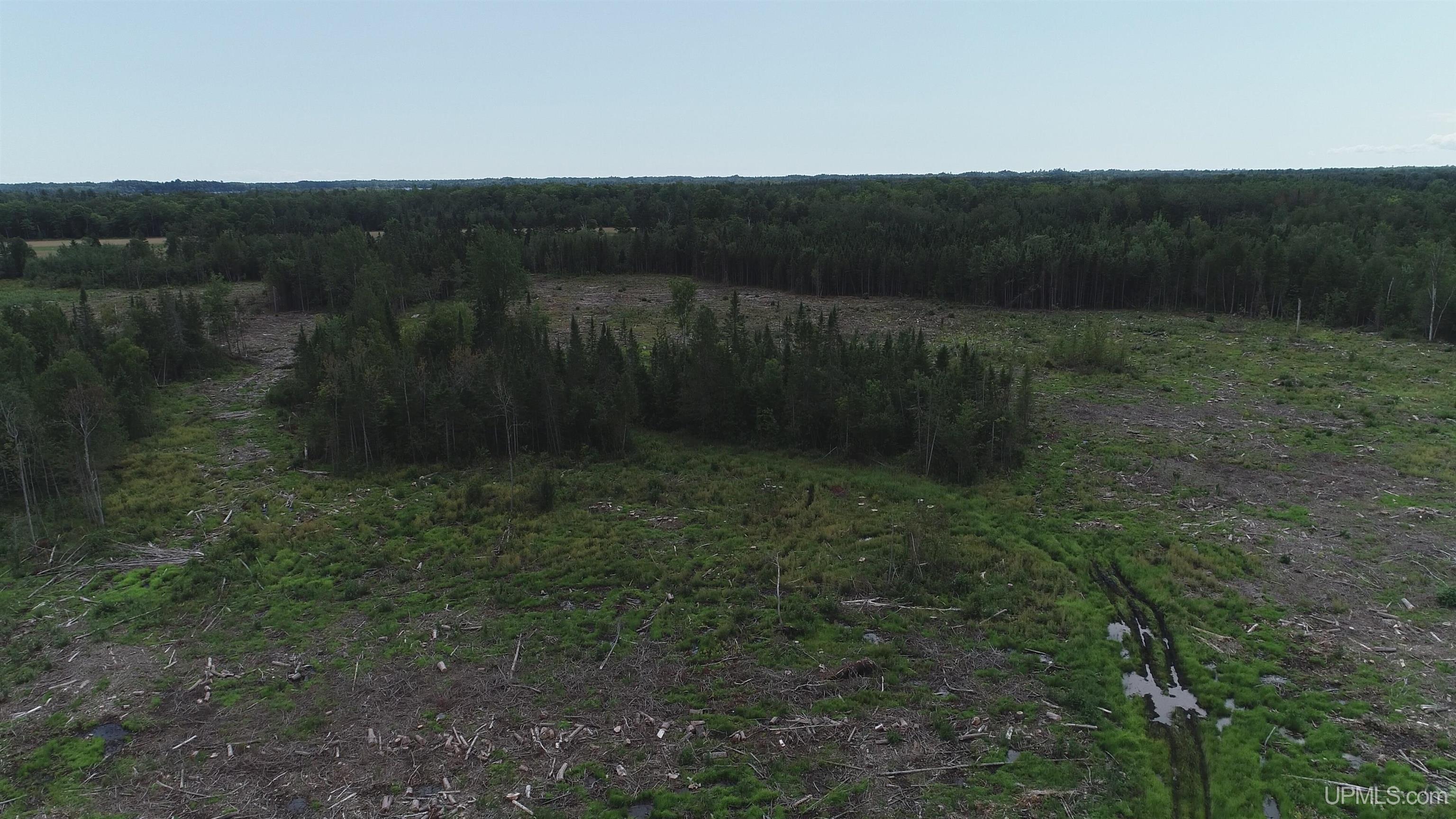 160-acres Halverson Road Gulliver, MI 49840 - Photo 32 of 35