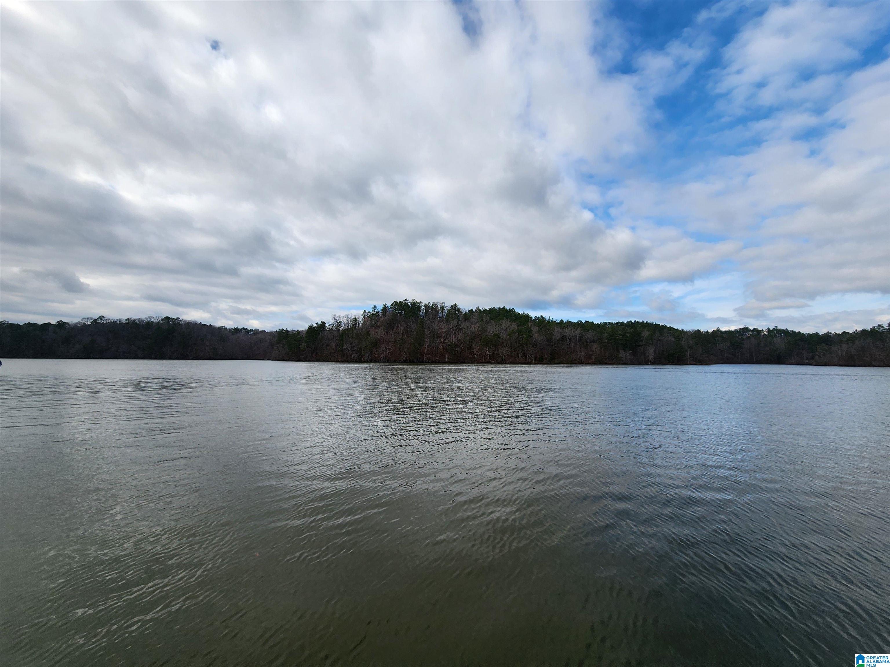 Lot 8 Eagle Point Road, Unit 1 Alexander City, AL 35010 - Photo 5 of 14