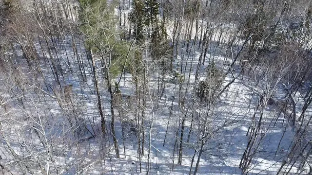 $40,000 | Lot 7 Curtis Farm Road, Lincoln, ME 04457