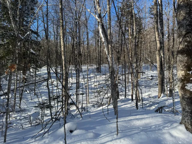 $40,000 | Lot 7 Curtis Farm Road, Lincoln, ME 04457