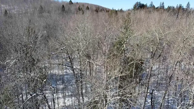 $40,000 | Lot 7 Curtis Farm Road, Lincoln, ME 04457
