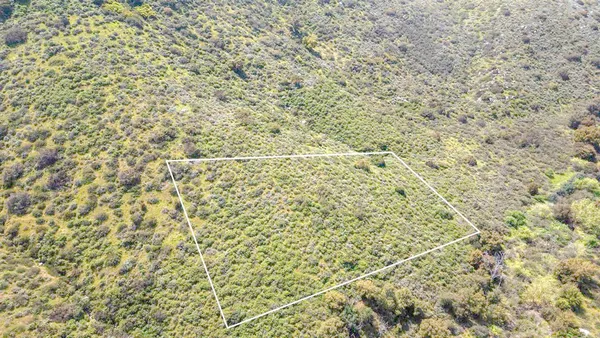 a bathroom with a shower curtain