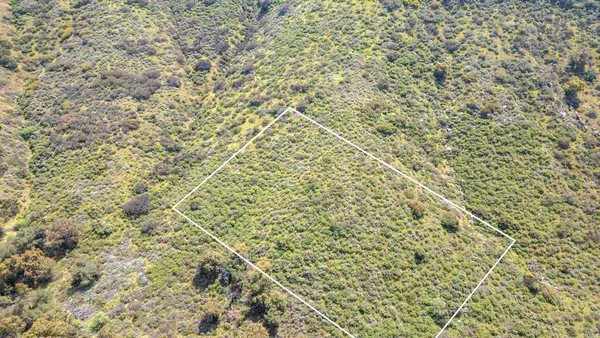 a bathroom with a shower curtain